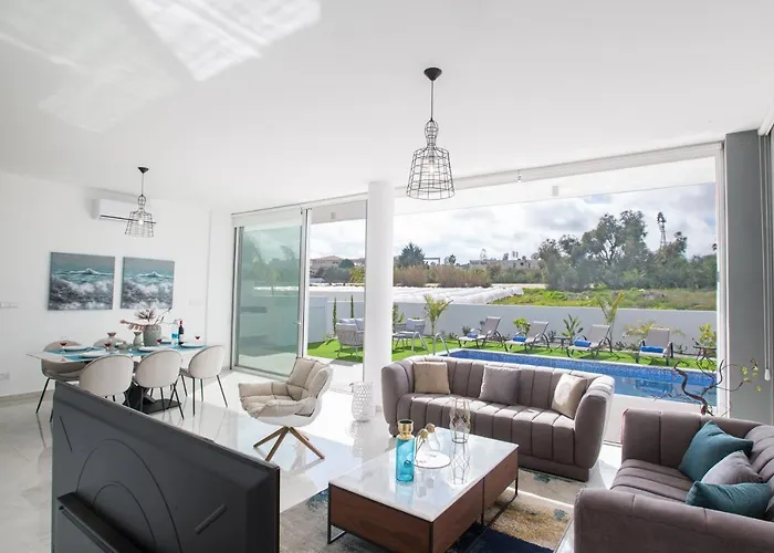 Oli Vine Vilă Protaras