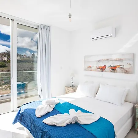 Oli Vine プロタラス