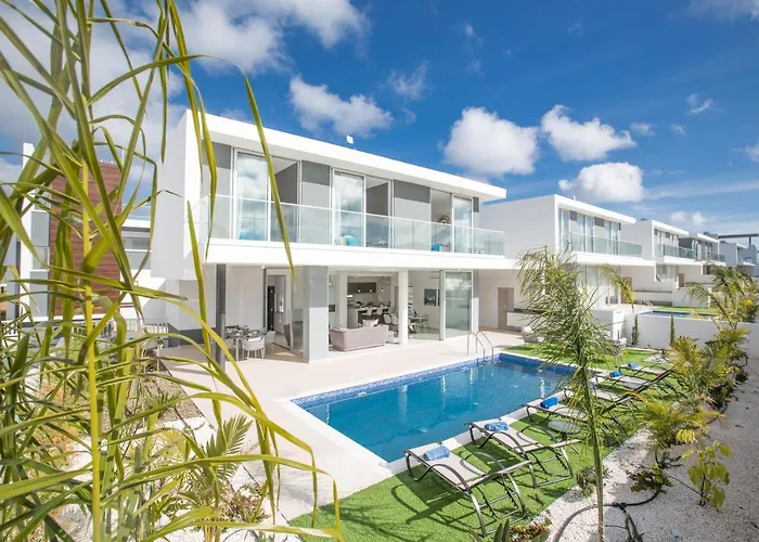 Oli Vine 普罗塔拉斯