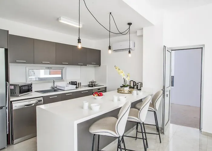 Oli Vine 普罗塔拉斯